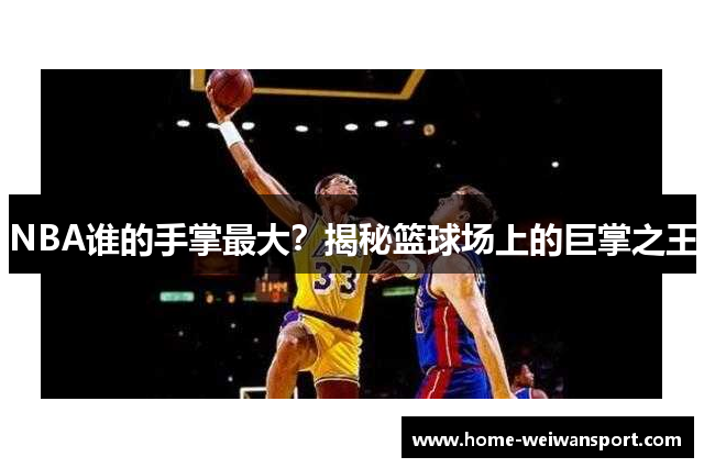 NBA谁的手掌最大？揭秘篮球场上的巨掌之王