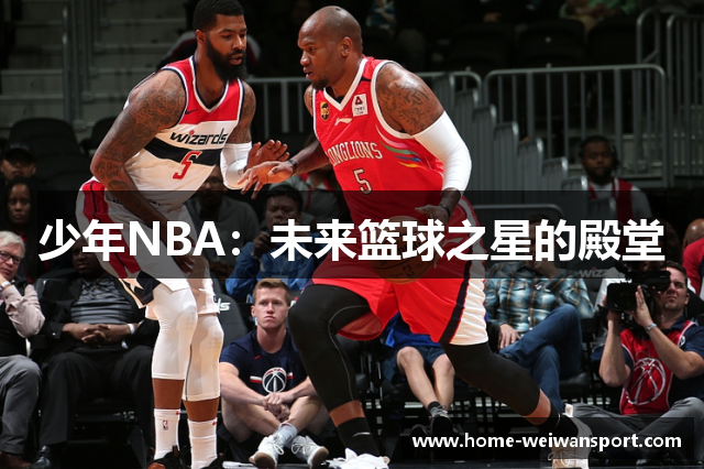 少年NBA：未来篮球之星的殿堂