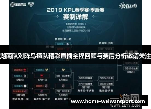 湖南队对阵鸟栖队精彩直播全程回顾与赛后分析敬请关注
